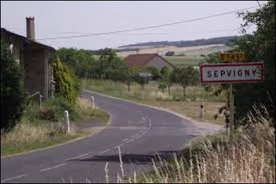 Nous terminons notre balade dans le Grand-Est, &agrave; Sepvigny. Petit village de 72 habitants, dans l'ancienne r&eacute;gion Lorraine, il se situe dans le d&eacute;partement ...