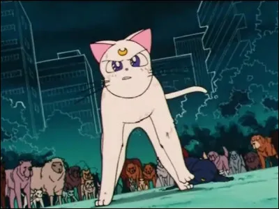 Pourquoi Artémis veut-il prouver à Luna qu'il peut lui aussi se défendre ?