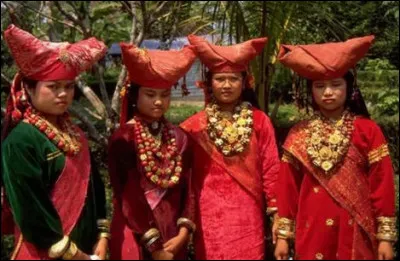 Les Minangkabaus de Sumatra (Indonésie) > C'est une société matriarcale [...] où les femmes gèrent à la fois les finances, prennent les décisions importantes au quotidien et s’occupent de la maison !