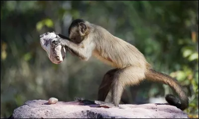 A quel métier pensez-vous ?