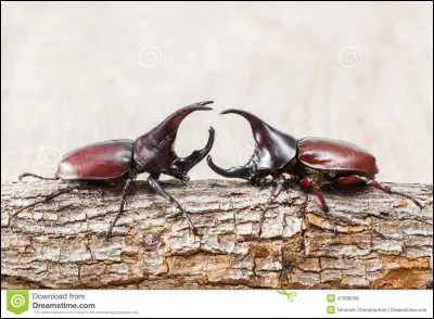 Attention, ça va chauffer !