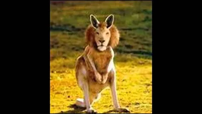 Quel est cet animal ?