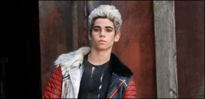 Quel personnage jouait-il dans ''Descendants'' ?