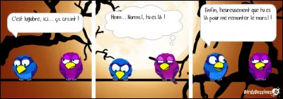 Que veut dire : "I have a cat and a dog" ?