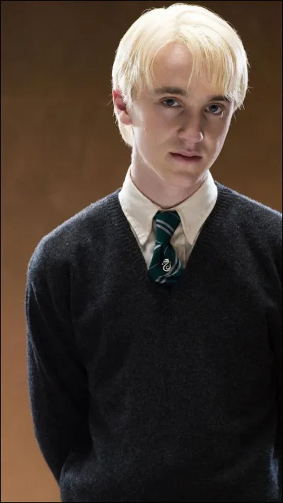 Il a joué le fils de Narcissa Malefoy et Lucius Malfoy.