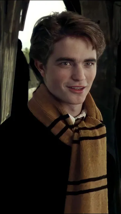 Son personnage fait partie de la maison Poufsouffle. Il joue comme attrapeur et est capitaine de l'équipe de Poufsouffle.
Il est aussi sélectionné pour participer au Tournoi des Trois Sorciers. Mais il meurt tué par Peter Pettigrow.