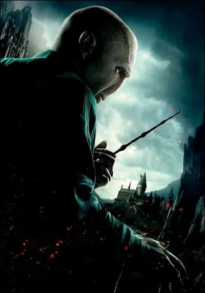 Cet acteur joue le grand méchant de Harry Potter. Celui dont on ne doit pas prononcé le nom.