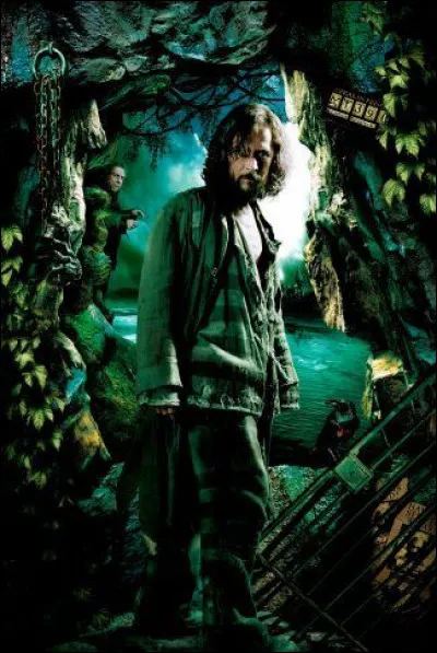 Le personnage de cet acteur est le parrain de Harry Potter. Il passe douze ans à la prison d'Azkaban et est le premier sorcier connu à s'en évader.