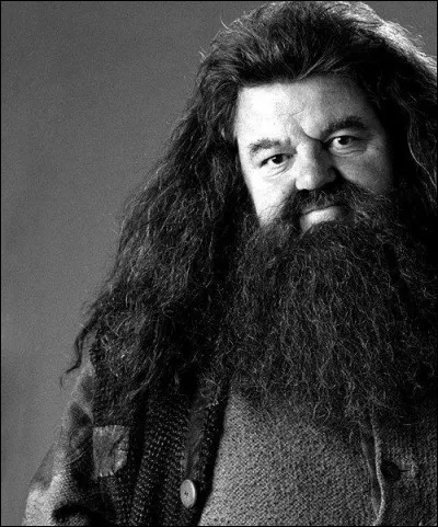 Cet acteur incarne un hybride (demi-géant). Il est professeur de soins aux créatures magiques, garde-chasse et gardien des clés et des lieux de Poudlard.