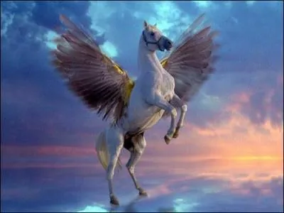 Comment s'appelle ce cheval ?