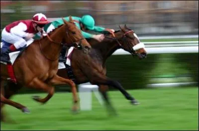 Est-ce que tous les chevaux peuvent faire de la course ?