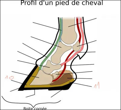 Que repr&eacute;sente le num&eacute;ro 10 ?