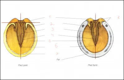 Le num&eacute;ro 1 repr&eacute;sente...