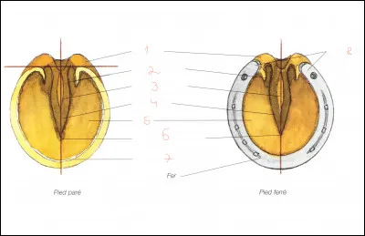 Le num&eacute;ro 6 repr&eacute;sente...