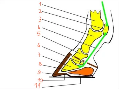 Le num&eacute;ro 2 repr&eacute;sente...