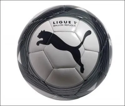 Quel est ce ballon ?