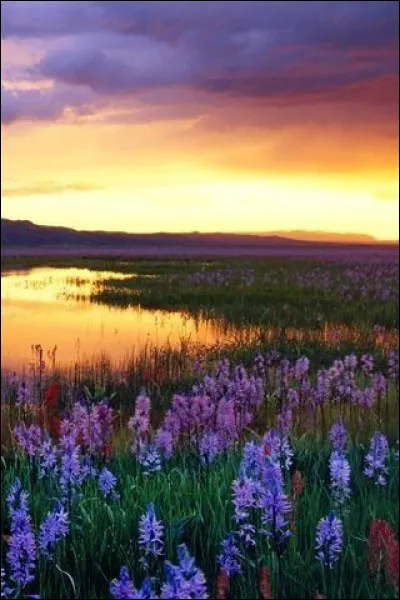 Qu'en est-il de Patrick ?