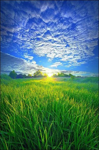 Comment s'appelle la petite amie de Noé ?