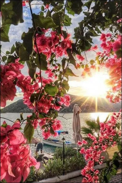 Quel est le métier de Vidal ?