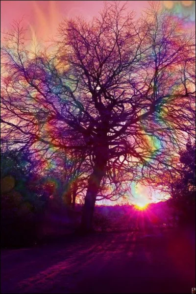 Comment le fils officiel de Manon s'appelle-t-il ?