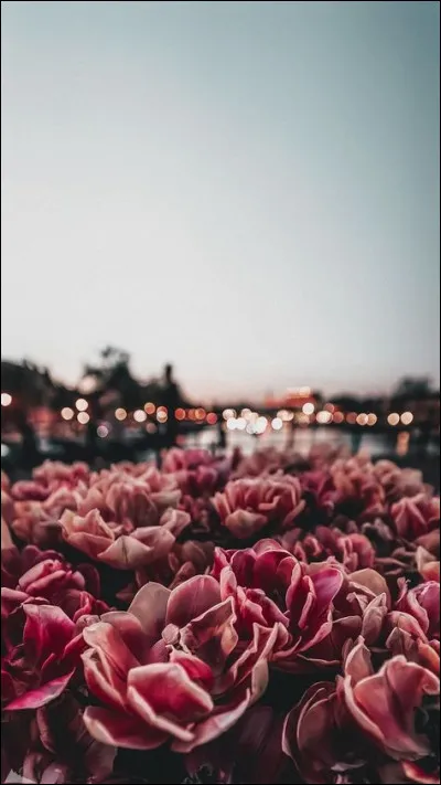 Dans quelle équipe se trouvait Benjamin ?