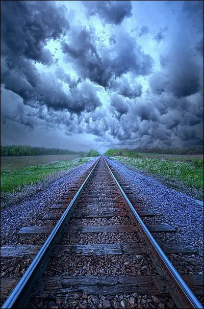 Quel est le sexe des deux fondatrices des équipes jaune et rouge ?