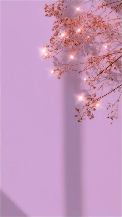 Qui a récupéré un bracelet noir après un conseil ?