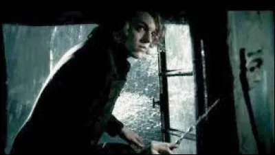 À qui Grindelwald va-t-il voler la baguette de Sureau ?