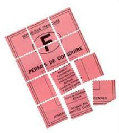 En France, le permis à point est rentré en vigueur en 1992.