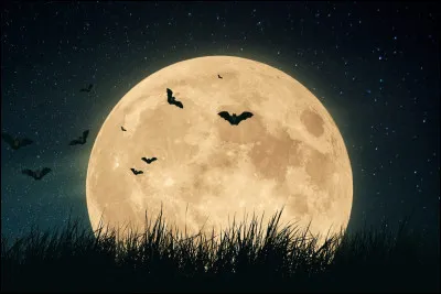 Si on vous dit "pleine lune", vous pensez aussit&ocirc;t &agrave; :