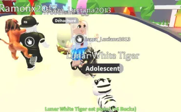 Quiz Roblox