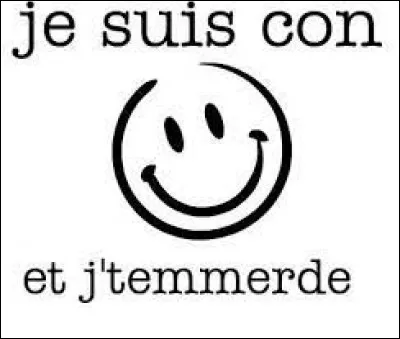 Elle te répond : "C'est toi qui t'es éclaté contre le mur ? Ma mère m'a demandé de te consoler avec mon beau regard''. Tu lui expliques qu'elle doit bouger son fessier de là et partir retrouver ses amies. Elle te dit qu'elle n'en a pas en se rapprochant de toi. Tu décides de changer de cabine.