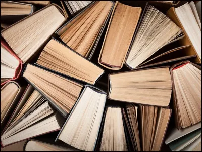 Quel genre de livre aimes-tu lire ? (2/2)