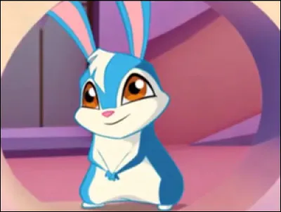 Le lapin de Bloom s'appelle...
