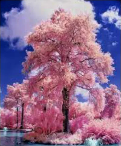 L'Angleterre est-elle toujours en Europe ? (2022)