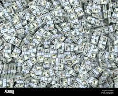 Que ferais-tu si tu gagnais beaucoup d'argent ?