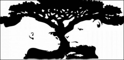 Que vois-tu en premier sur cette image ?