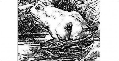 Que vois-tu en premier sur cette image ?