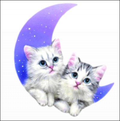 Que vois-tu en premier sur cette image ?