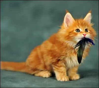 Une fois dehors, que fais-tu ?