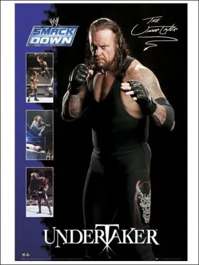 Quels sont les finisher de Taker ?