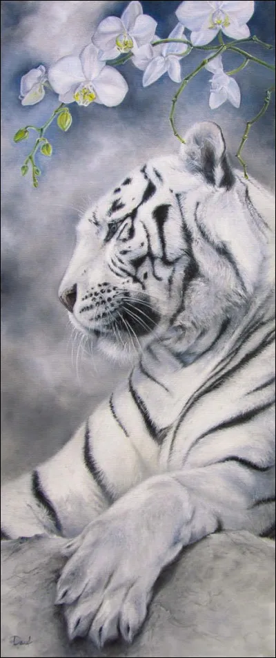 En quelle année le film Tigre est-il sorti ?