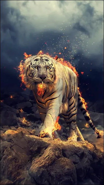 D'où venait le char tigre durant la Seconde Guerre mondiale ?