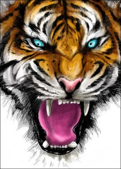 De quelle ville française le groupe Le Tigre vient-il ?