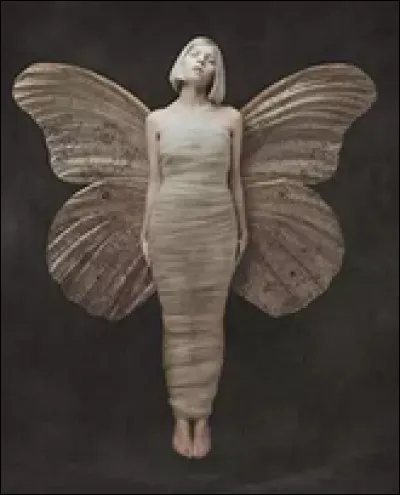 Qui a chant&eacute; "Runaway" ?