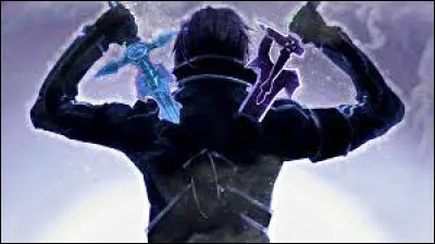 Quel est le premier item que Kirito a obtenu ?