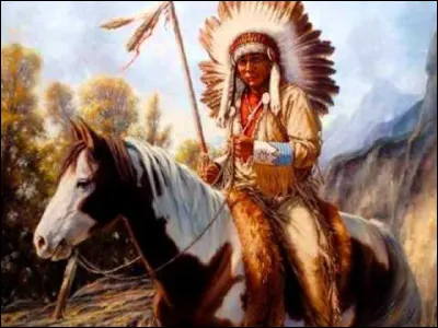 Quel est l'autre nom pour désigner un autochtone d'Amérique ?