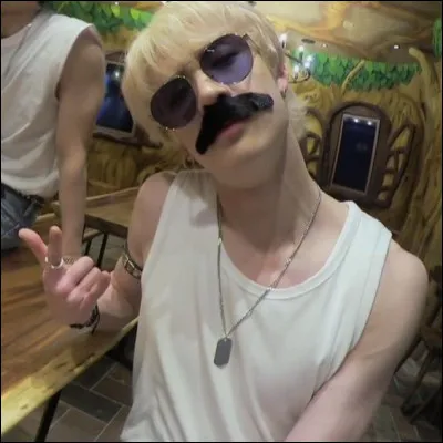 Comment se nomment leurs fans ?