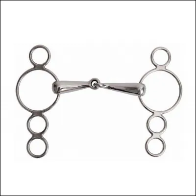 Comment s'appelle ce mors ?