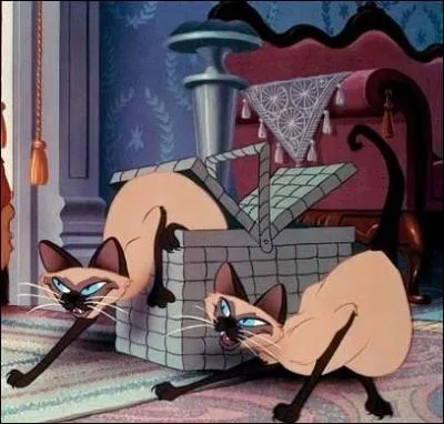 Dans quelles aventures rencontre-t-on ces chats ?